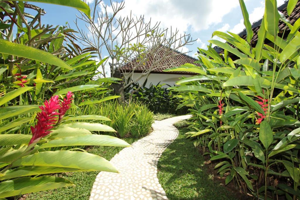 Sunset Hill Bed & Breakfast อูบุด ห้อง รูปภาพ