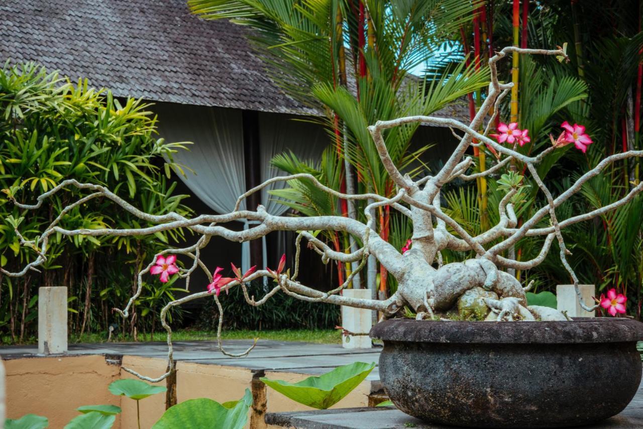 Sunset Hill Bed & Breakfast อูบุด ภายนอก รูปภาพ